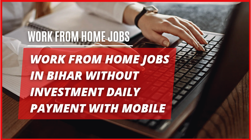 work from home jobs in Bihar without investment daily payment with mobile.