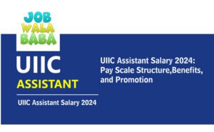 UIIC Assistant Salary 2024, Salary Structure, Perks and Promotion UIIC Assistant Salary 2024 has been discussed